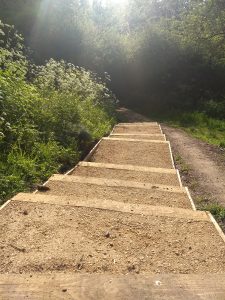 Steps at Millennium Green Improved by Town Rangers