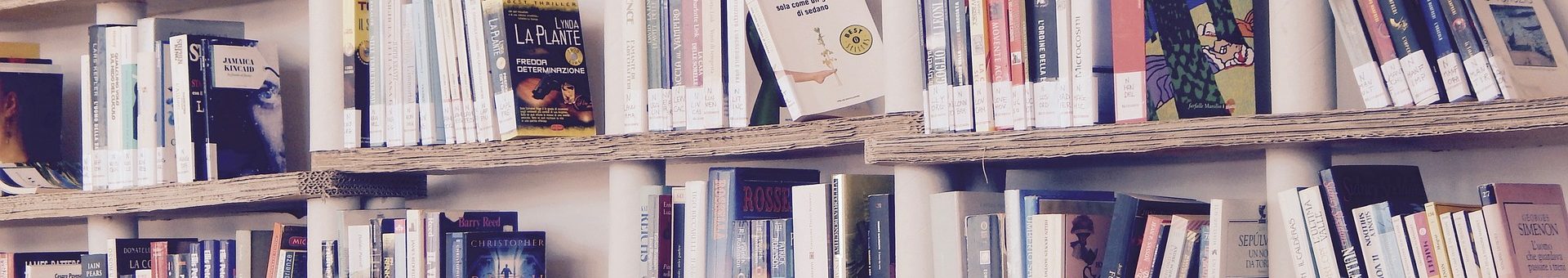 Shelves of books