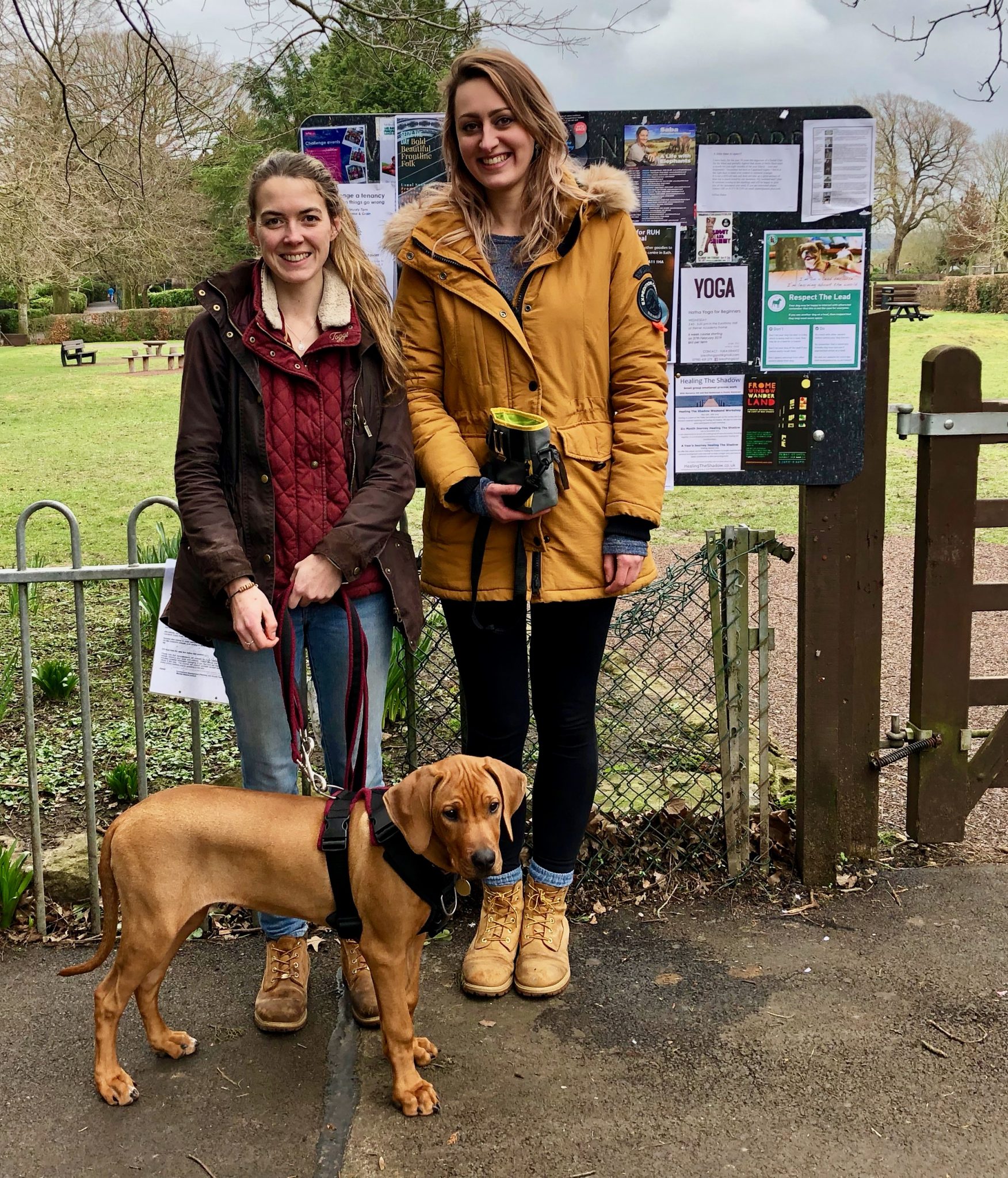 Frome’s dog owners leading by example - Frome Town Council