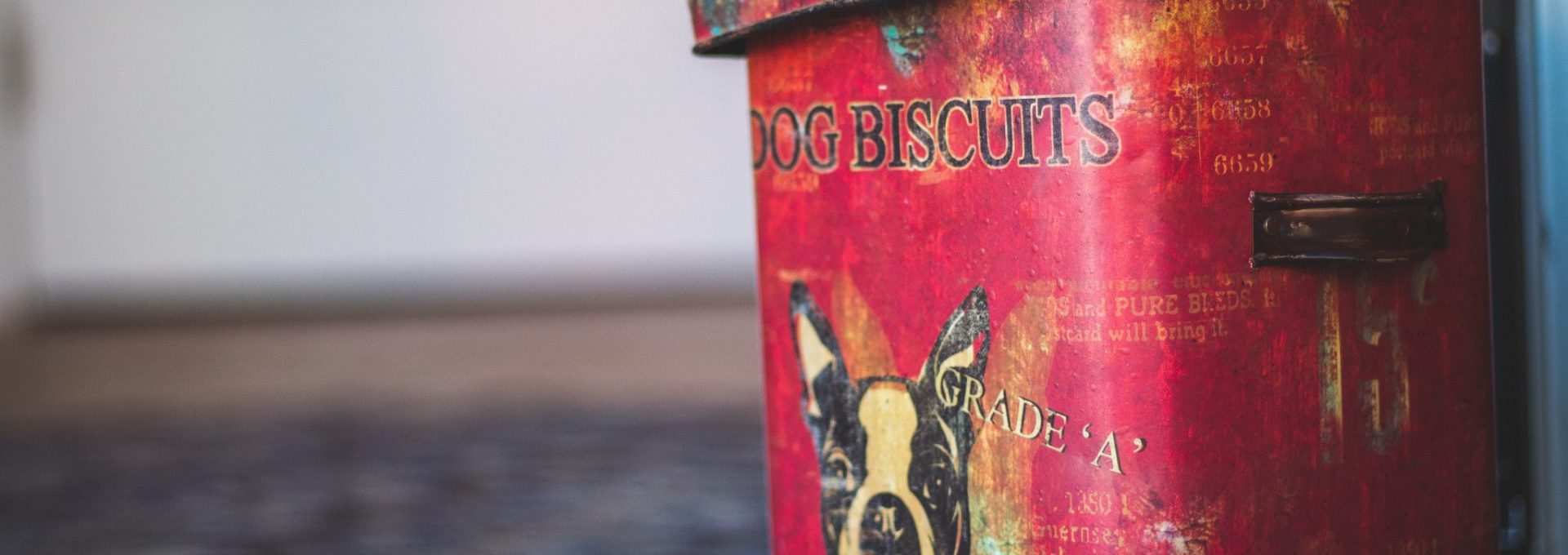 dog biscuit tin