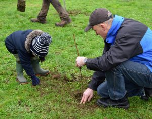 Photo of father and child planting a tree