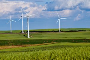 Picture of wind turbines on the horizon