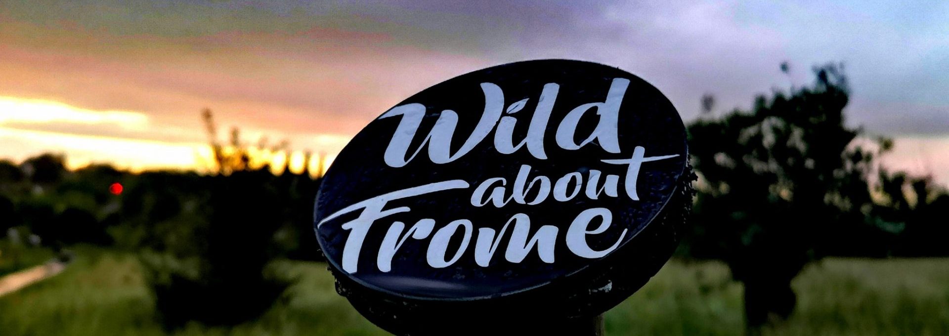 Wild about Frome post at sunset