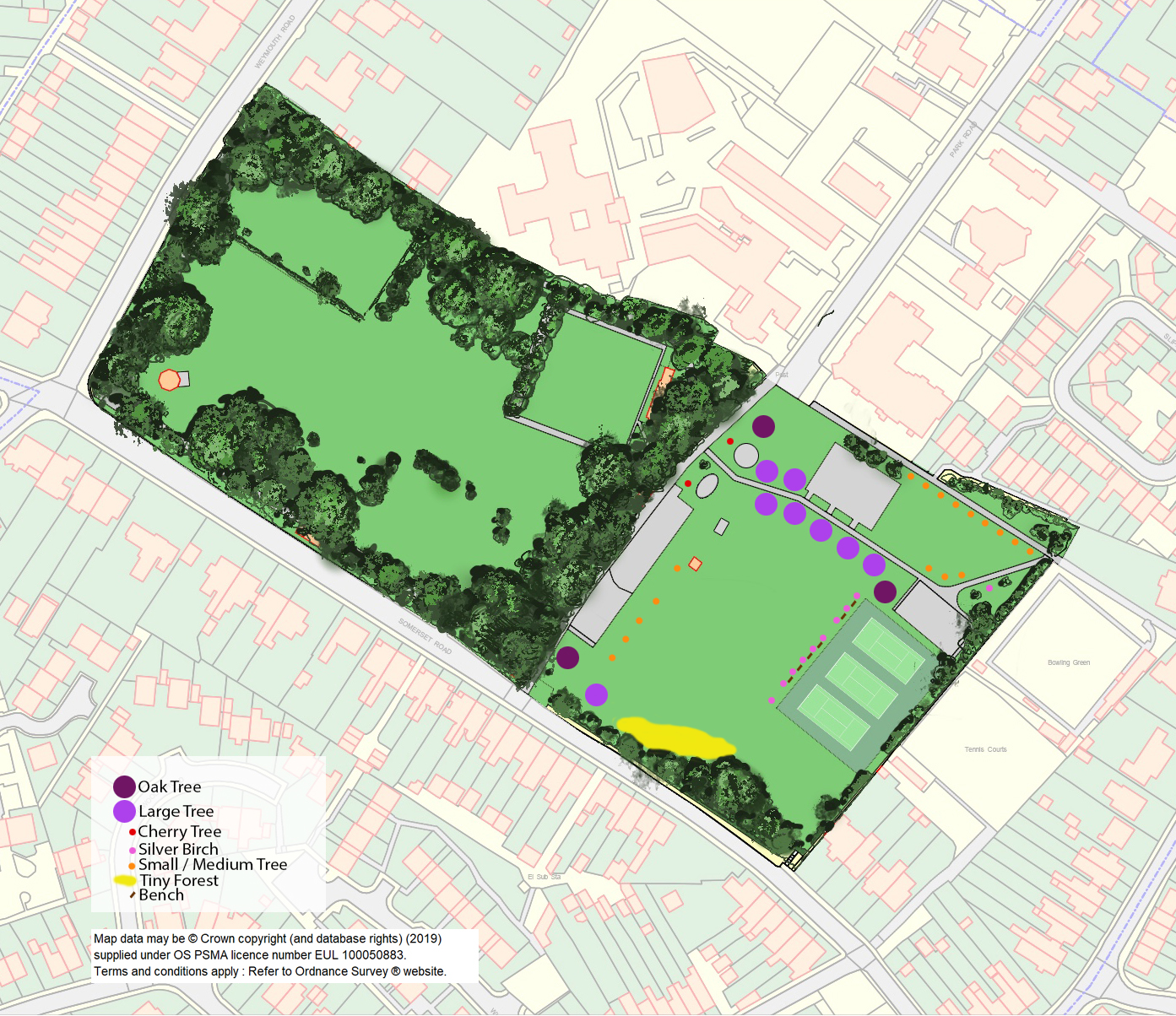 Map showing proposed tree planting at Mary Baily playing field.