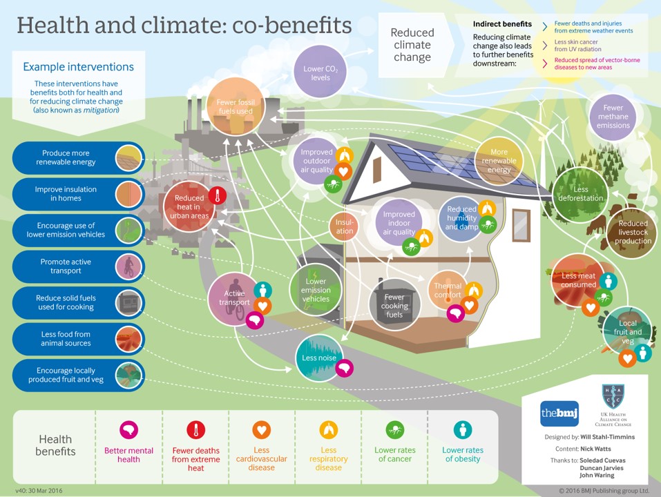 Graphic Image from the British Medical Journal detailing out examples of Health and climate co benefits