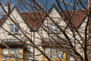 Picture of roofs and houses behind tree branches