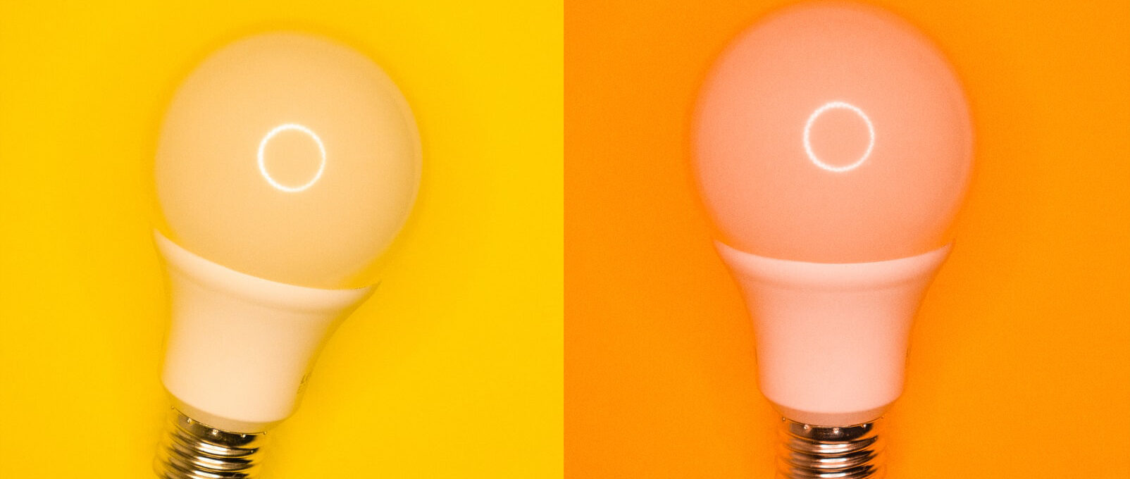 Yellow and orange light bulb representing energy training