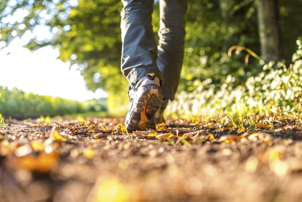 Person who can only be seen from foot to knee from behind walks on autumnal ground in walking shoes, with the sunlight shining in the background.