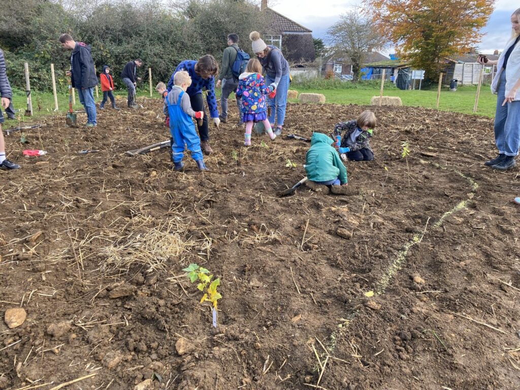 People planting trees