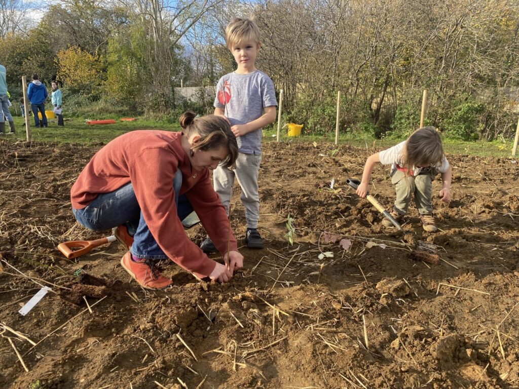 People planting trees