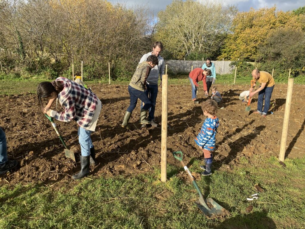 People planting trees