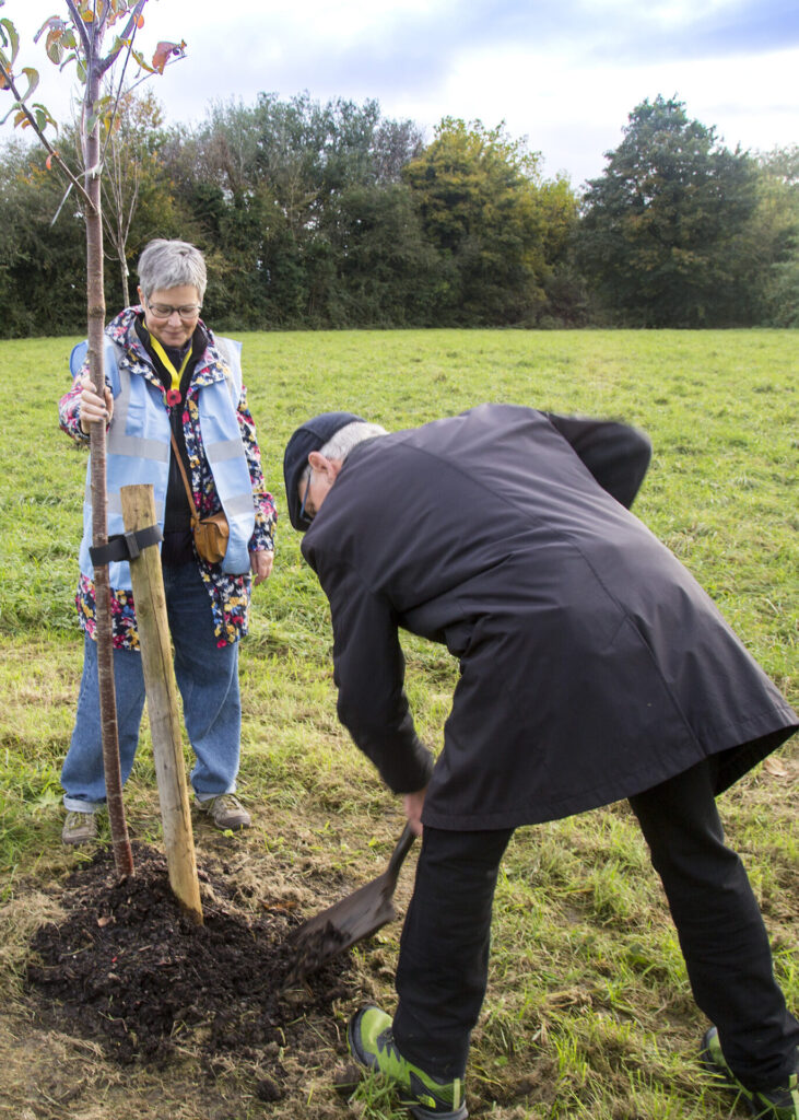 Man planting a tree